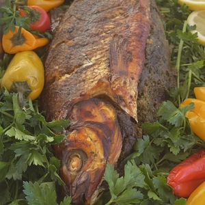 ماهی شکم پر