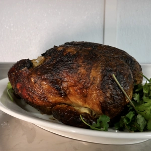 مرغ شکم پر استارایی(لونگی)